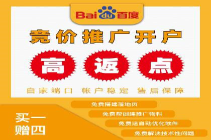 某公司网站sem托管项目纪实